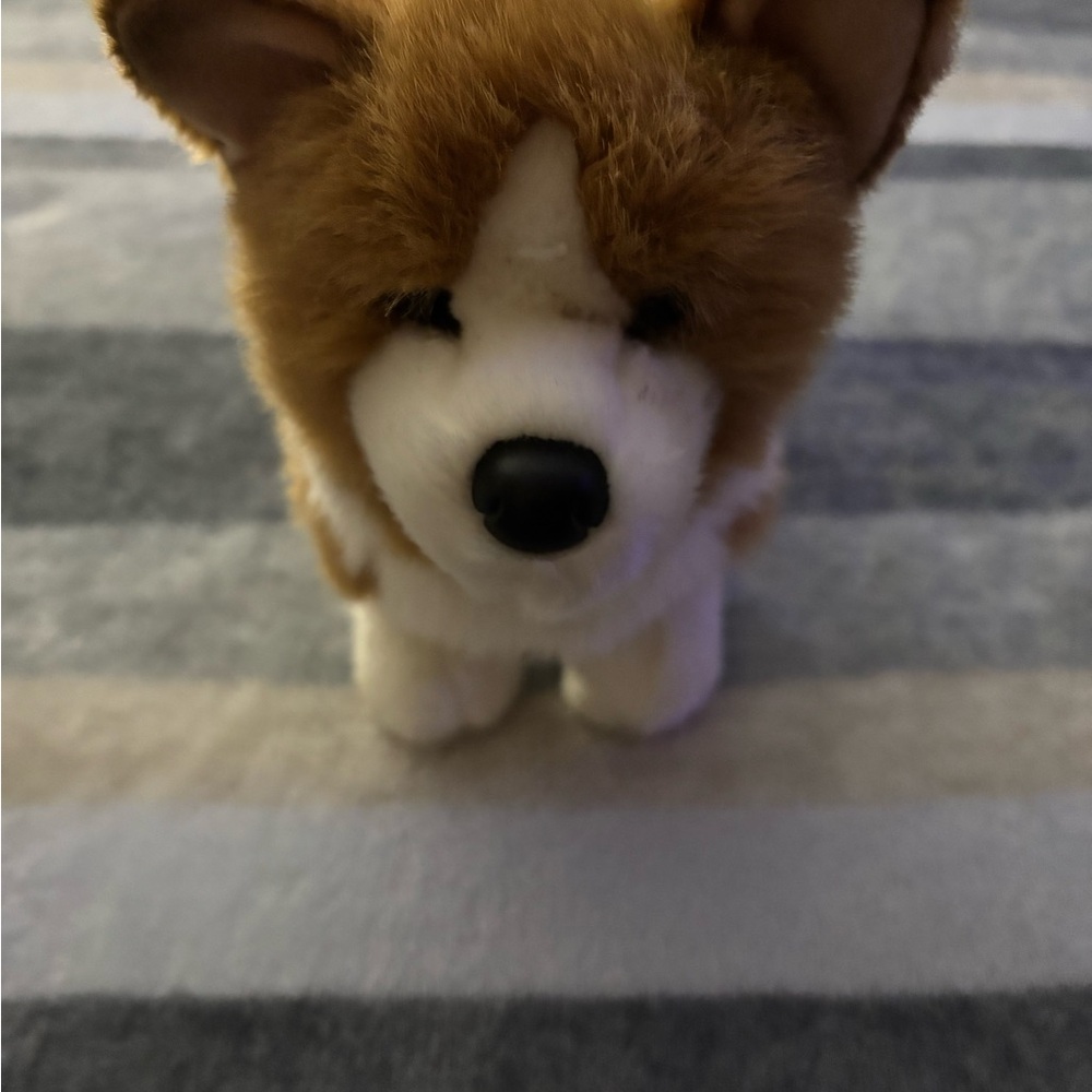 Adorable Plush Corgi